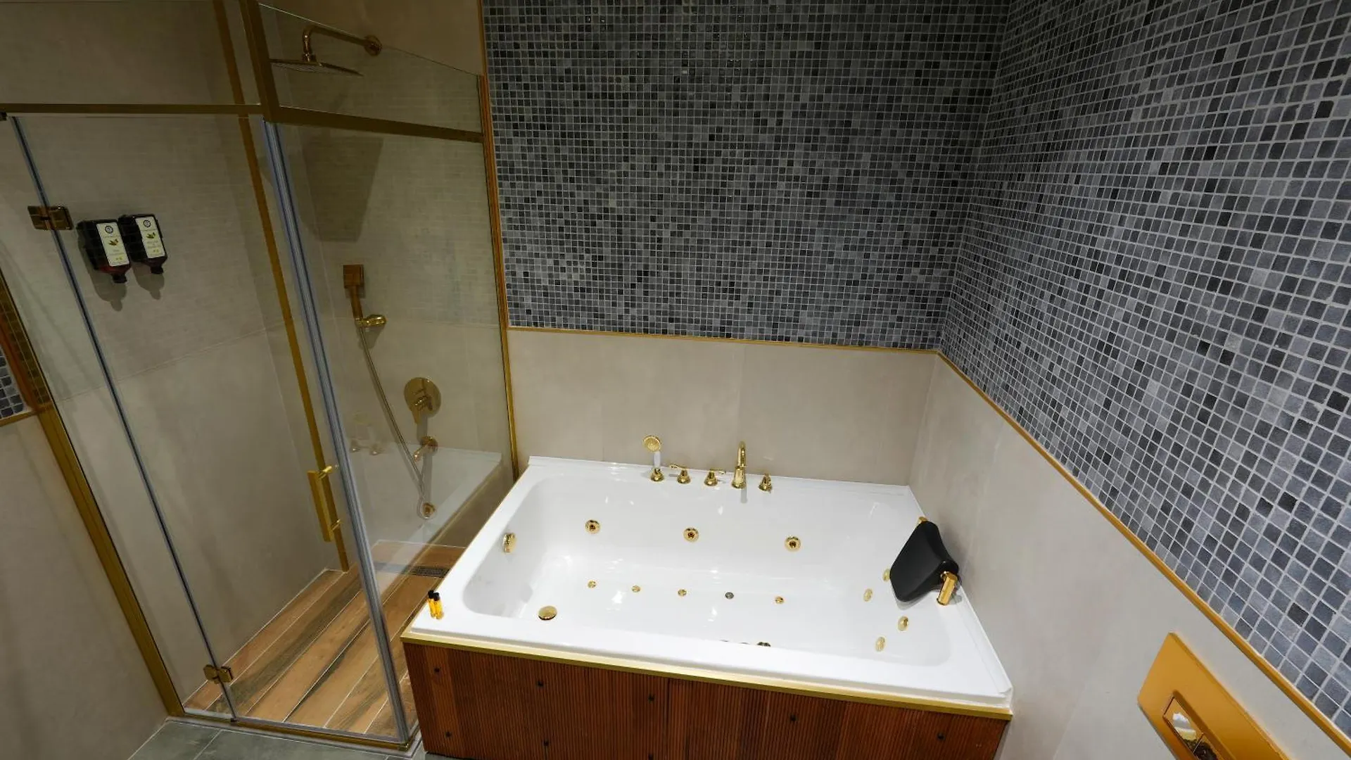 ***  Taksim Bosphorus Hotel اسطنبول تركيا